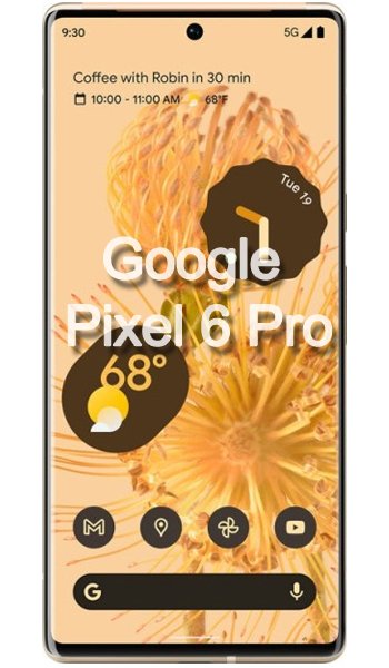 Google Pixel 6 Pro 128GB 12GB RAM