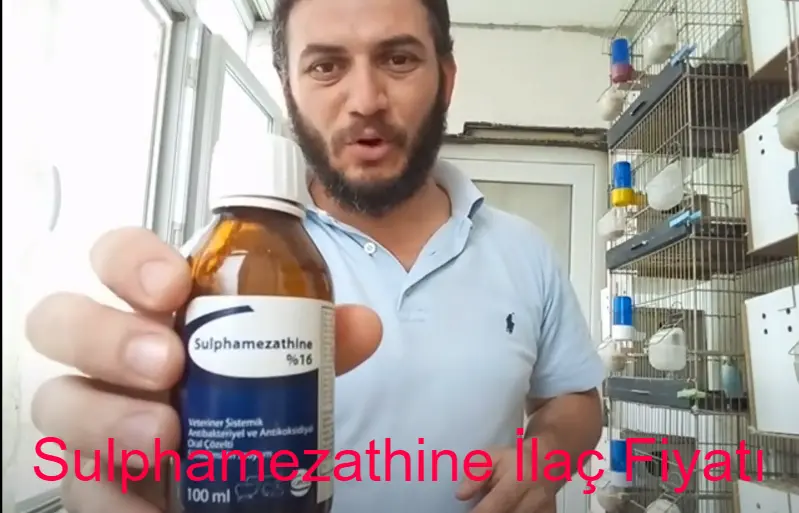 sulphamezathine, sulphamezathine ilaç fiyatı, sulphamezathine eczane fiyatı, sulphamezathine fiyatı 2023 , sulphamezathine eczanede satılır mı, sulphamezathine fiyatı, sulphamezathine muhabbet kuşu, sulphamezathine eczane, sulphamezathine kuruma, sulphamezathine nereden alınır